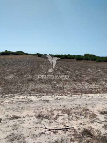 Quintinha com 7200 m2,porto côvo.