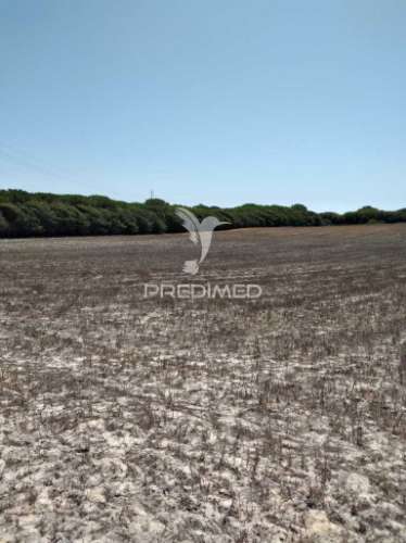 Quintinha com 7200 m2,porto côvo.