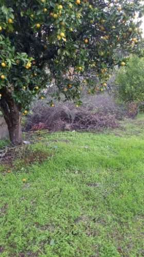 Moradia geminada t4 em chão das maias – serra, tomar