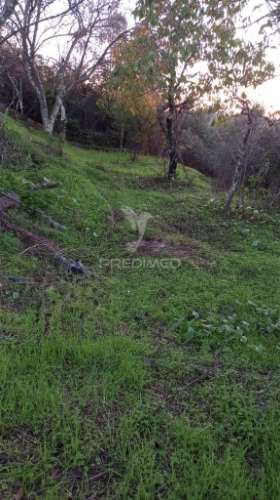 Moradia geminada t4 em chão das maias – serra, tomar