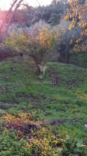 Moradia geminada t4 em chão das maias – serra, tomar