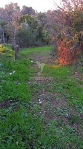 Moradia geminada t4 em chão das maias – serra, tomar