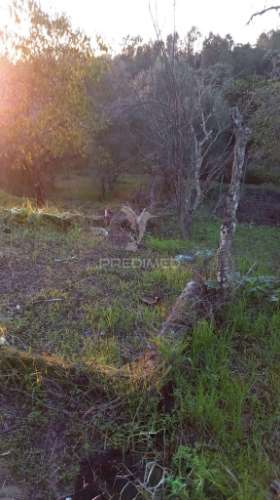 Moradia geminada t4 em chão das maias – serra, tomar