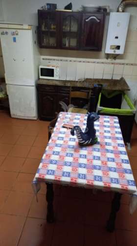 Moradia geminada t4 em chão das maias – serra, tomar