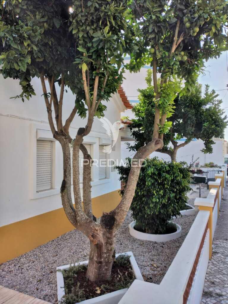 Moradia t2 recuperada com jardim, centro santiago do cacém.