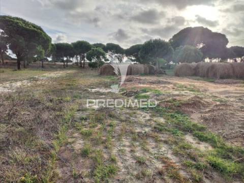 Terreno rústico com 33.145m2 em melides.