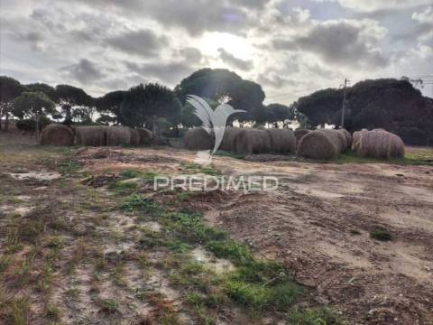 Terreno rústico com 33.145m2 em melides.
