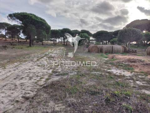 Terreno rústico com 33.145m2 em melides.