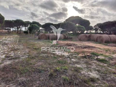 Terreno rústico com 33.145m2 em melides.