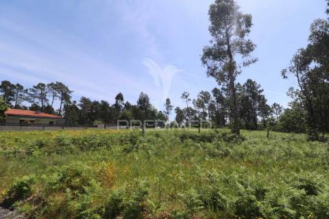 Aqui nasce o seu lar