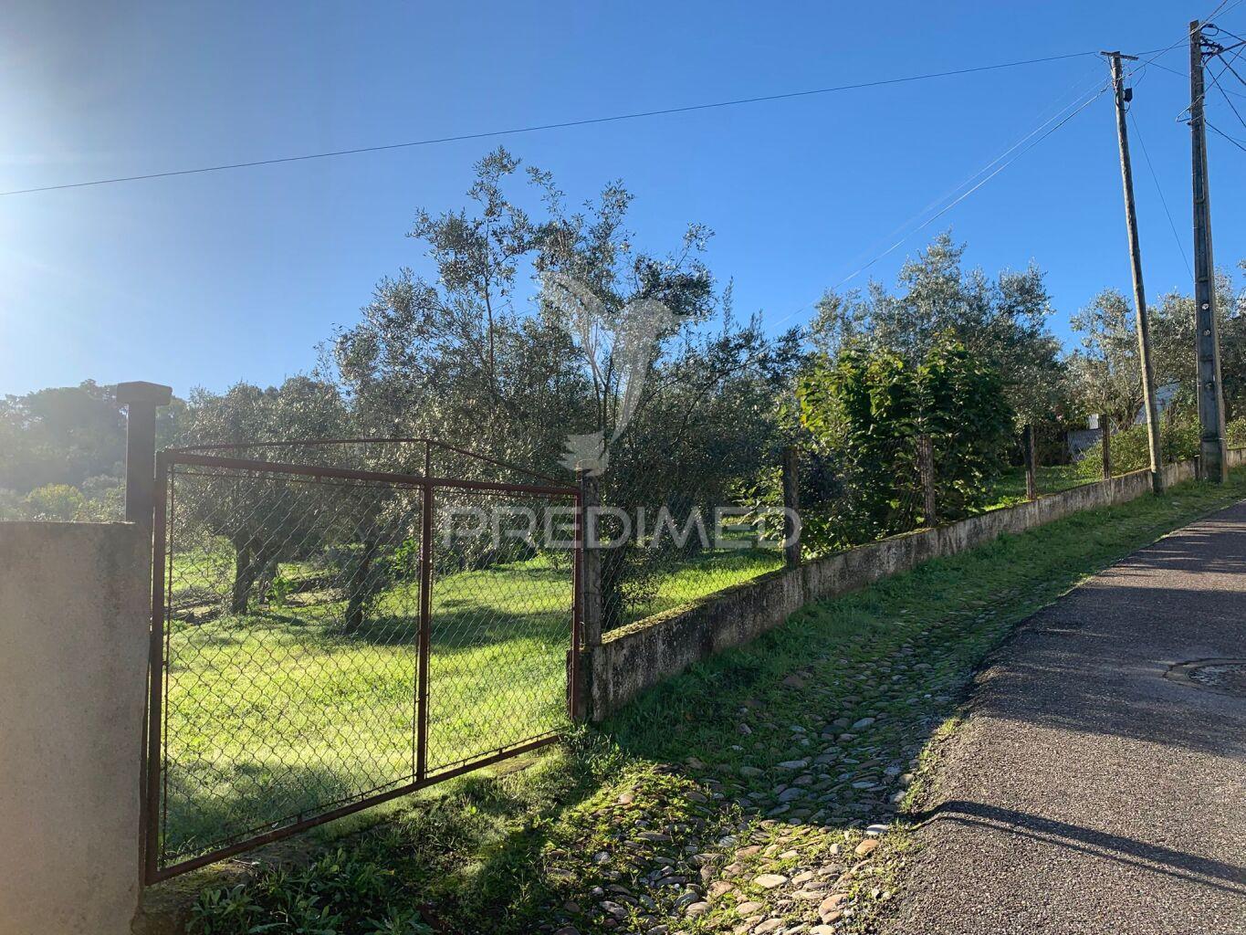 Terreno para construção em alvega