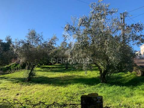 Terreno para construção em alvega