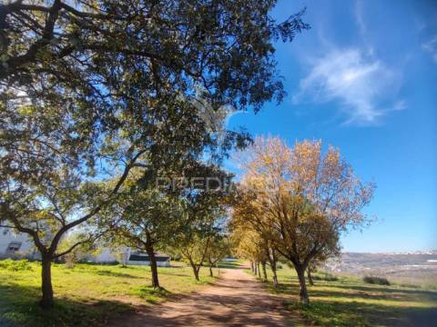 Apartamento t2 completamente remodelado, pontinha, odivelas.