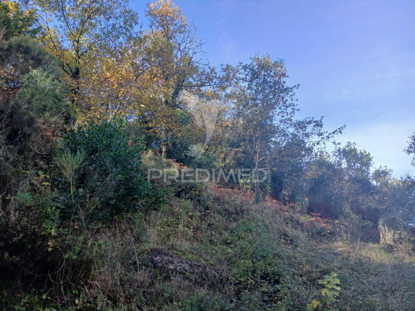 Terreno de construção em exclusivo – vieira do minho