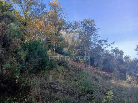 Terreno de construção em exclusivo – vieira do minho