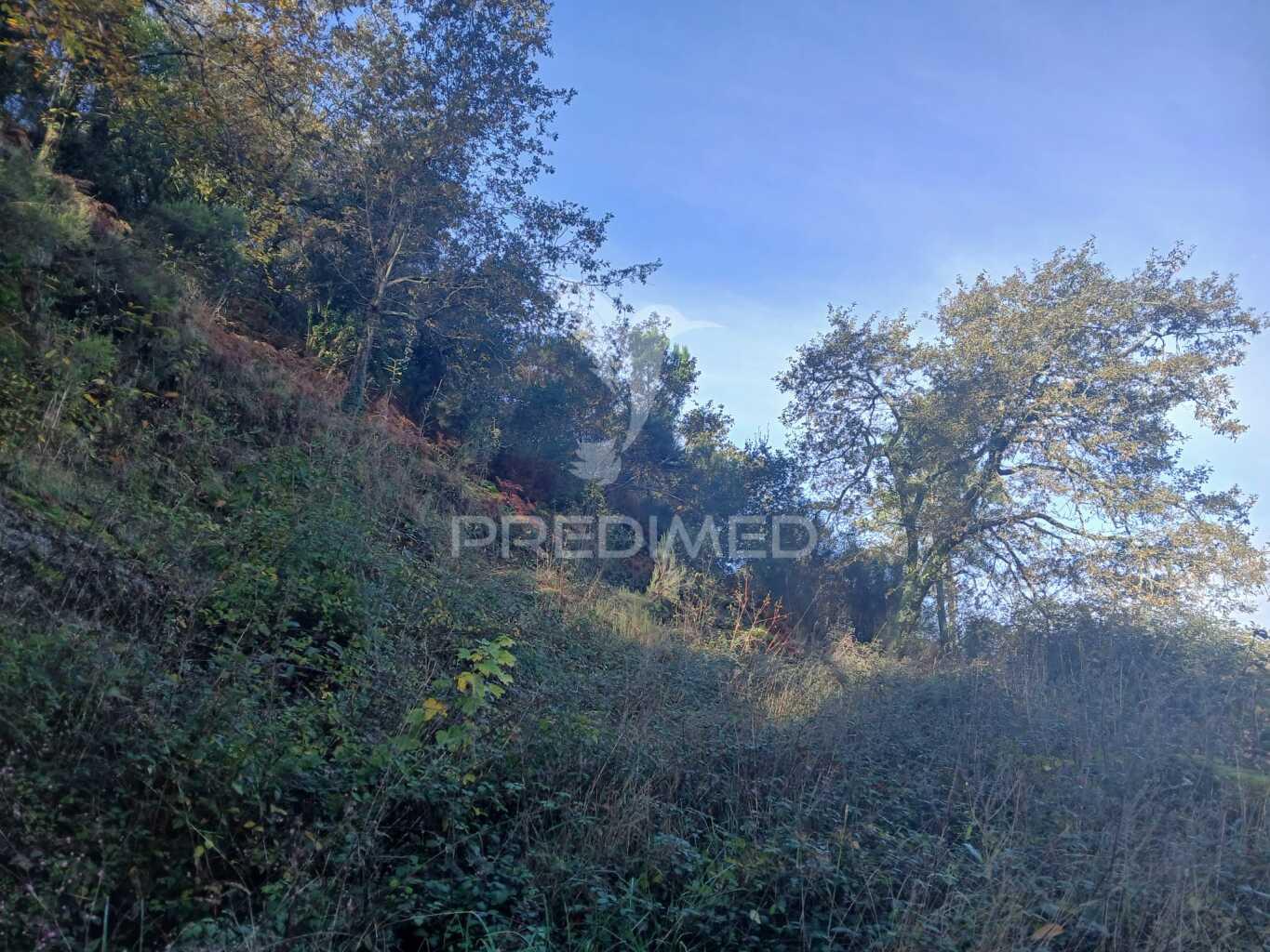 Terreno de construção em exclusivo – vieira do minho