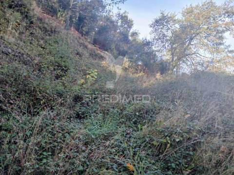Terreno de construção em exclusivo – vieira do minho