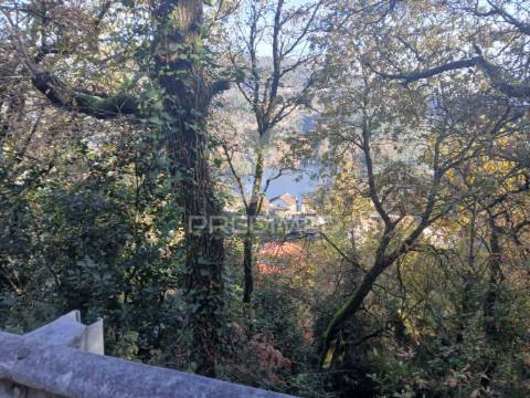 Terreno de construção em exclusivo – vieira do minho