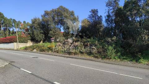 Terreno urbano em lousado