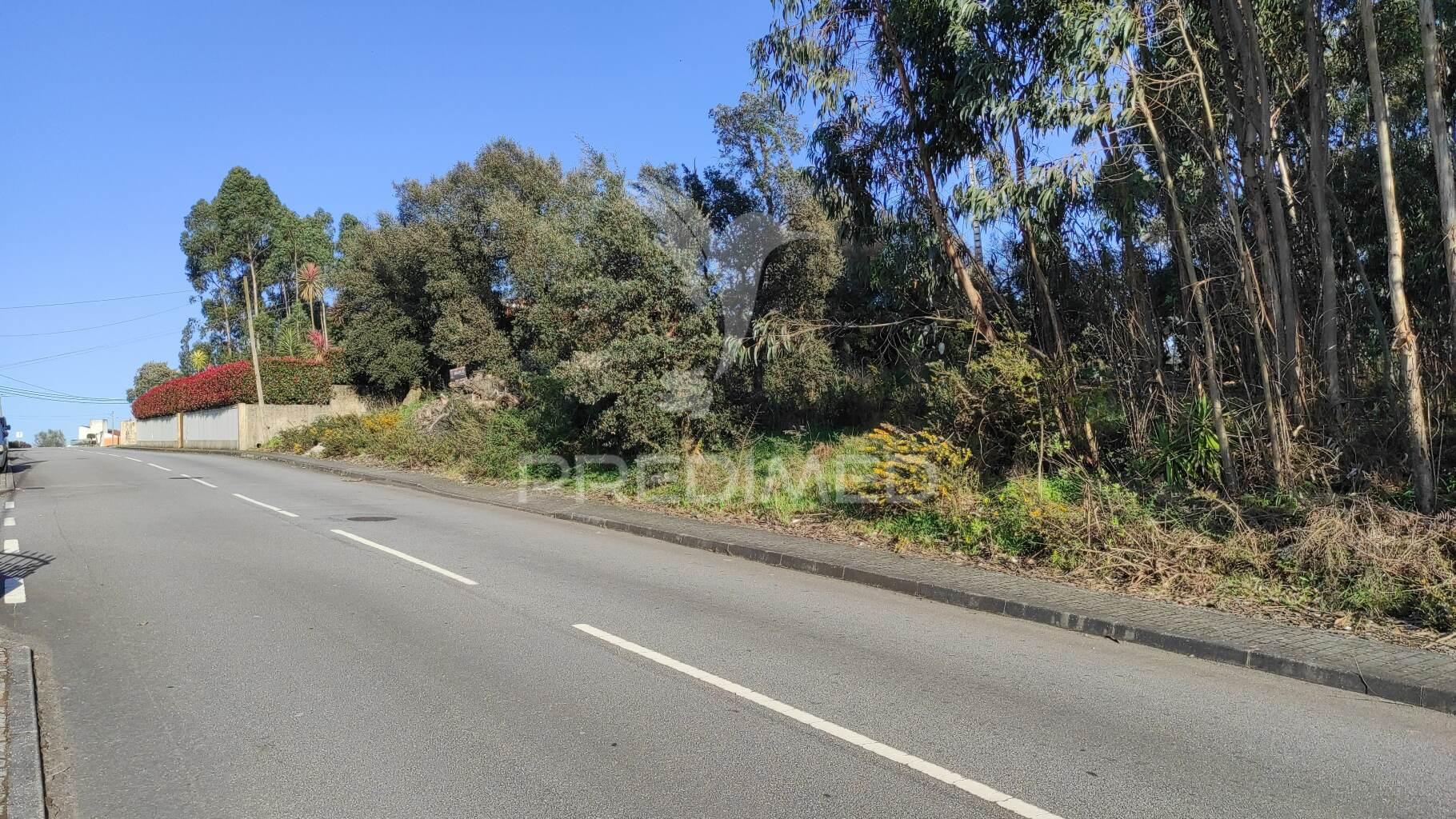 Terreno urbano em lousado