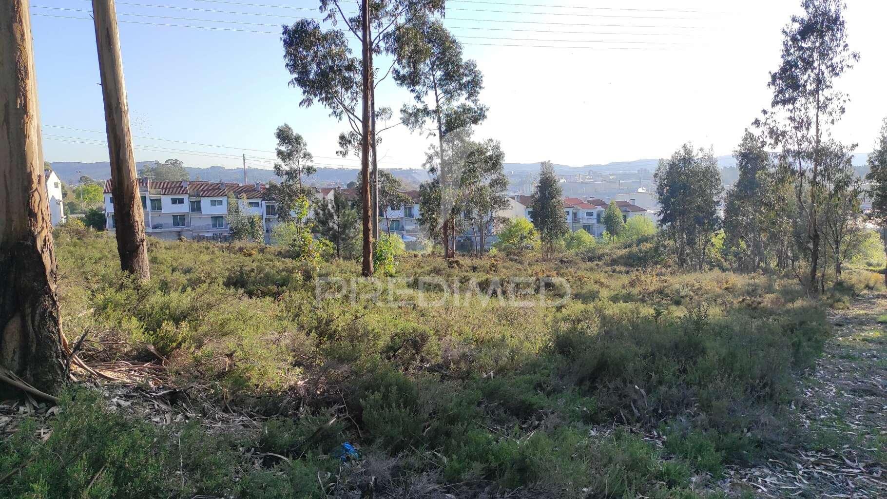 Terreno urbano em lousado