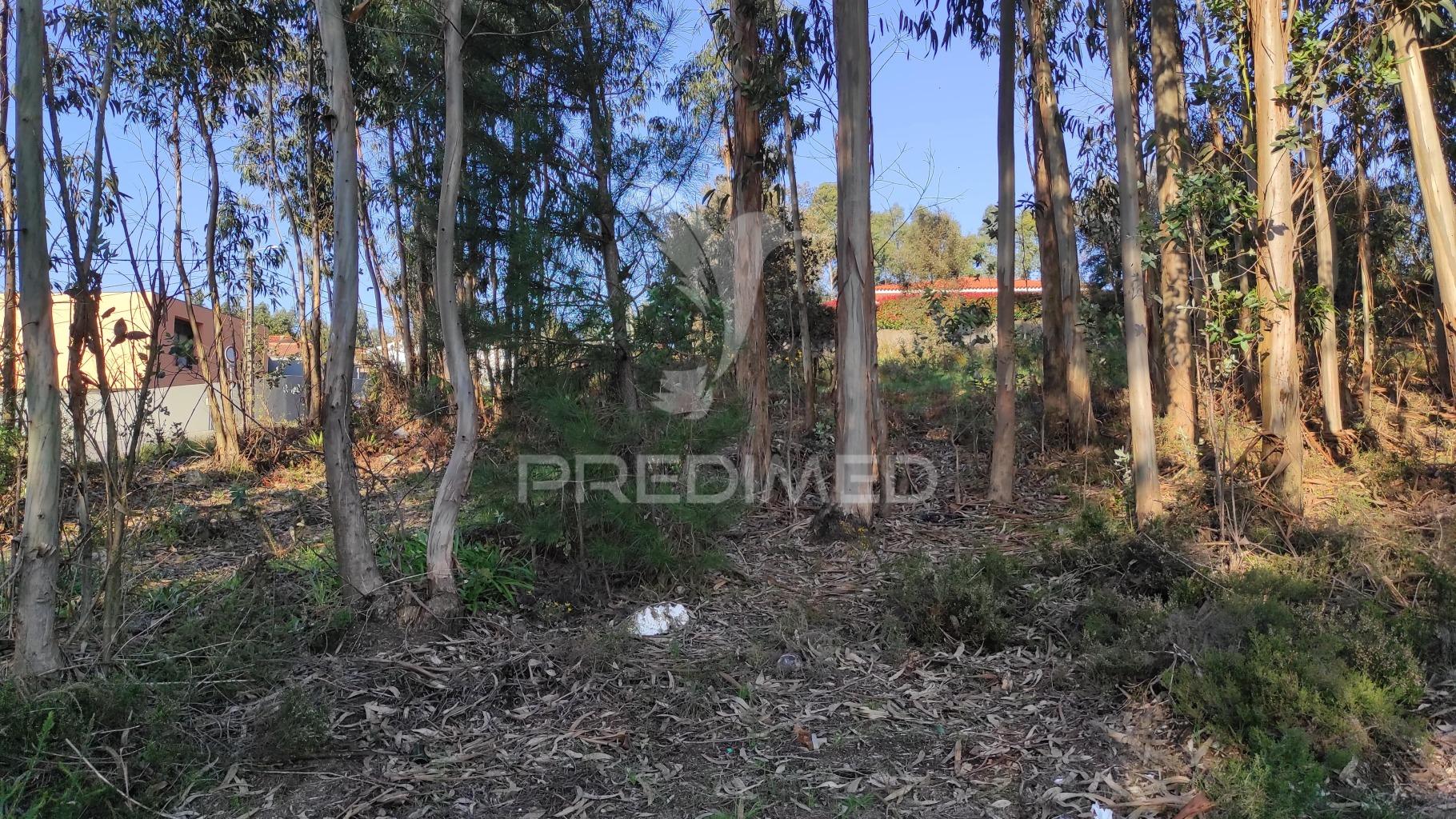 Terreno urbano em lousado