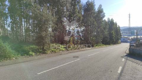 Terreno urbano em lousado