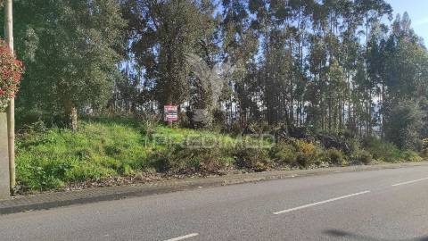 Terreno urbano em lousado