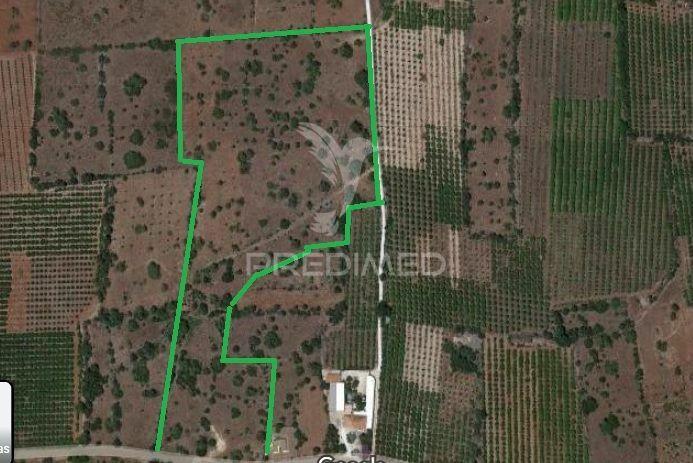 3 hectares de terreno com ruína