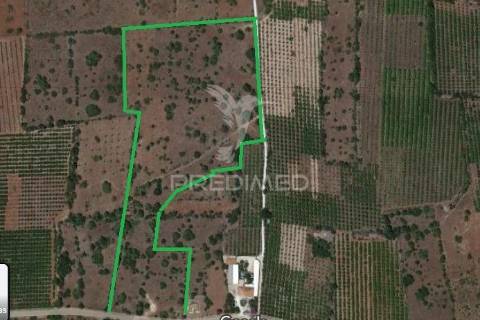 3 hectares de terreno com ruína