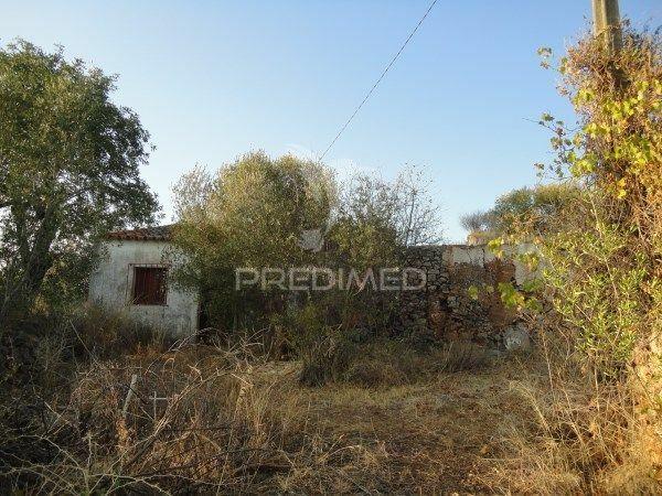 3 hectares de terreno com ruína