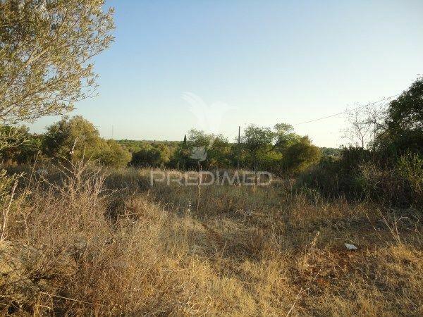 3 hectares de terreno com ruína