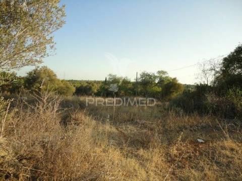 3 hectares de terreno com ruína