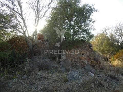 3 hectares de terreno com ruína