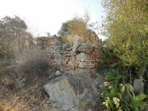 3 hectares de terreno com ruína