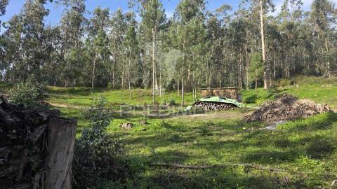 Terreno urbano para construção – 2.040 m² – longra, freguesia da caranguejeira, leiria