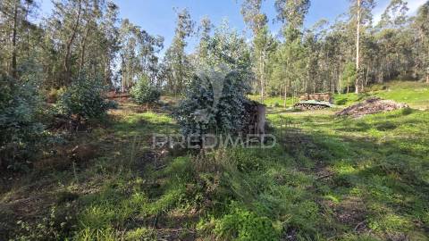 Terreno urbano para construção – 2.040 m² – longra, freguesia da caranguejeira, leiria