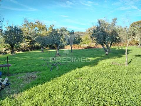 ? quinta t2 para recuperar — carreiras, portalegre ?