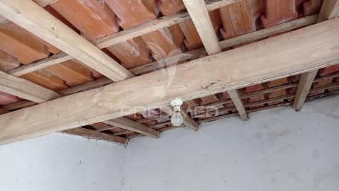 Monte alentejano em couço, coruche