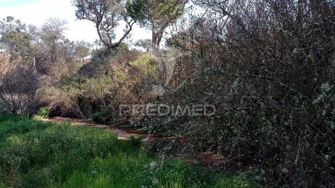 Monte alentejano em couço, coruche