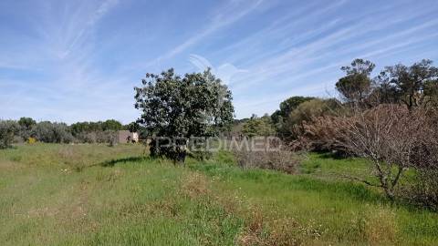 Monte alentejano em couço, coruche