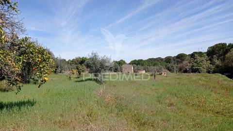 Monte alentejano em couço, coruche