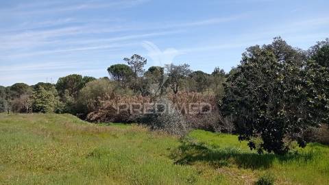 Monte alentejano em couço, coruche