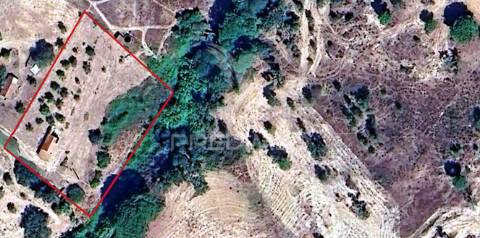 Monte alentejano em couço, coruche