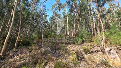 Oportunidade - terreno urbano com 842 m² – santa eufémia, leiria