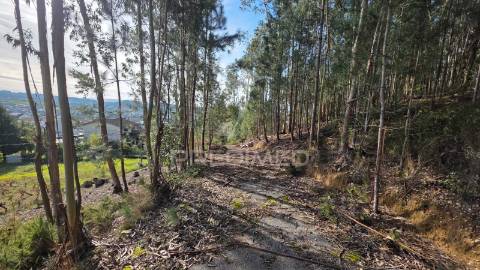 Oportunidade - terreno urbano com 842 m² – santa eufémia, leiria