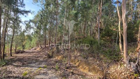 Oportunidade - terreno urbano com 842 m² – santa eufémia, leiria