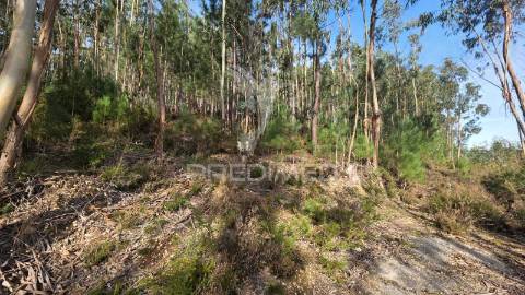 Oportunidade - terreno urbano com 842 m² – santa eufémia, leiria