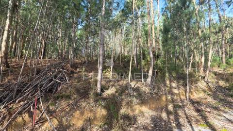 Oportunidade - terreno urbano com 842 m² – santa eufémia, leiria