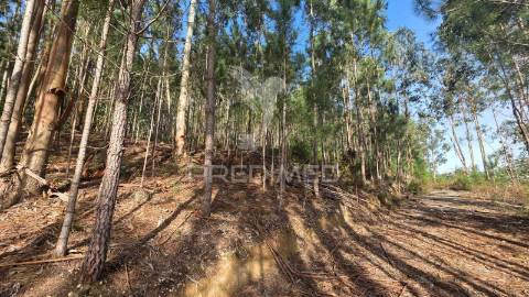 Oportunidade - terreno urbano com 842 m² – santa eufémia, leiria